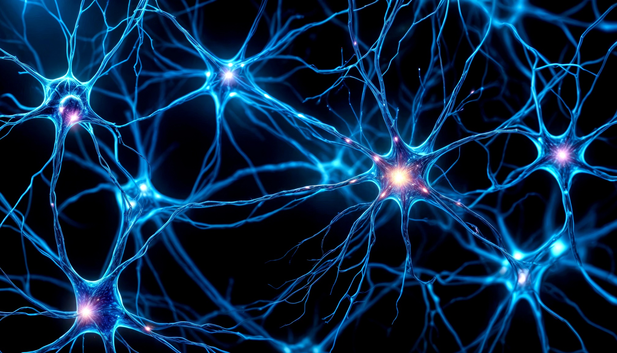 Neurons with Glowing Synapses in Microscopic View content-image